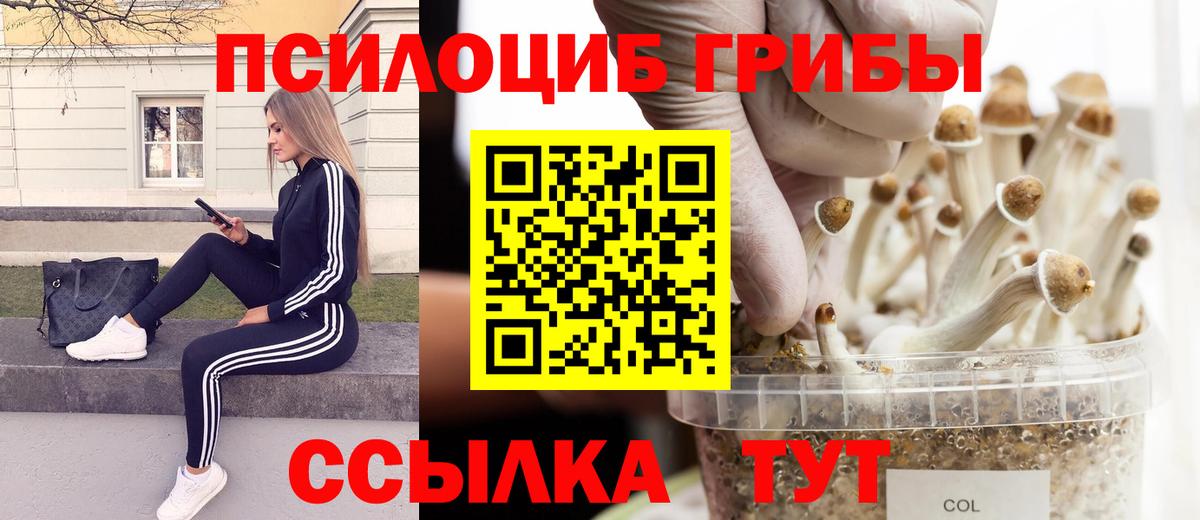купить наркотик  Вход с VPN  Златоуст  Псилоцибиновые грибы Cubensis 